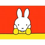 ミッフィーの人（サブ垢３）