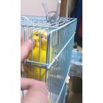 にゃひーやは毎日楽しく・。・