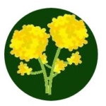 菜花たけぞう