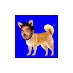 userPhoto