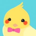きのきの