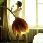 てっち