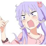 ゆっくり・マッケンジー