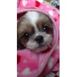 勇くん