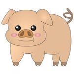 いちぞ～