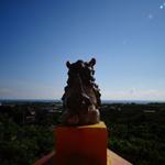 カイチョウ