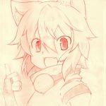 ブリッツ