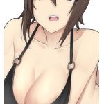 いるかっと