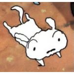 Shiro 白