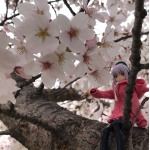 ソアRa