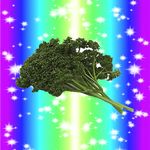 道産子パセリ