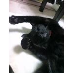 ちぇき