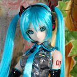 ラグドール