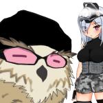 遠owl