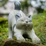 漆黒の預言者