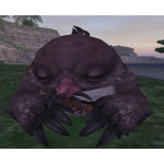 もぐら