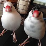 userPhoto