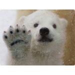 うるまみ