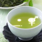 えこだま