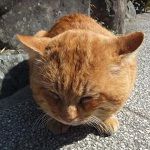 userPhoto