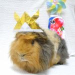 どくたーぺっぱー