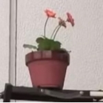 ずぐむん