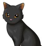ふみ