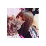 #_みけねこ あみ。