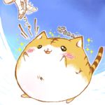 星月　要