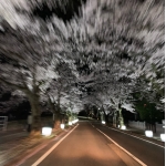 ひねもす