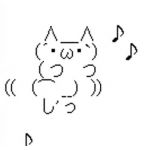 popo           。