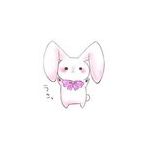 なつめ