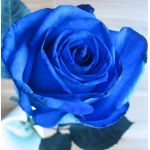 青薔つばめ