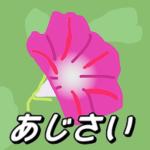 あ　じ　さ　い