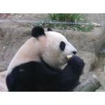 userPhoto