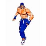 雷華