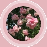 追証指導者(168歳)810先輩