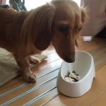 セラ