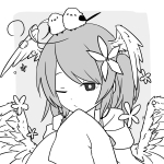 星屑イルカ