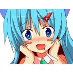 亀⑨