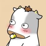 userPhoto