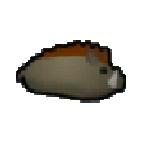 Jacodaut