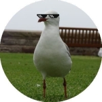 アオサノリ