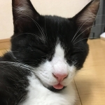 たんぴん