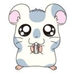 へいきんだいすきクラブ