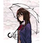 のこたん