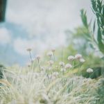 いち。