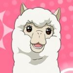 アルパカ
