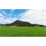 userPhoto
