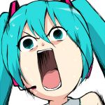 まるさし
